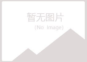 湛江晓夏咨询有限公司